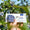 Image to render