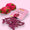 Dried Dragon Fruit Chips Snack - Tiny Noms